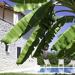 Avesta Private - Iokasti